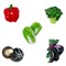 Wrapables 3D Resin Fridge Magnets, Food Simulation, Succulents, Famous Faces Refrigerator Magnets for Kitchen (Set of 5)